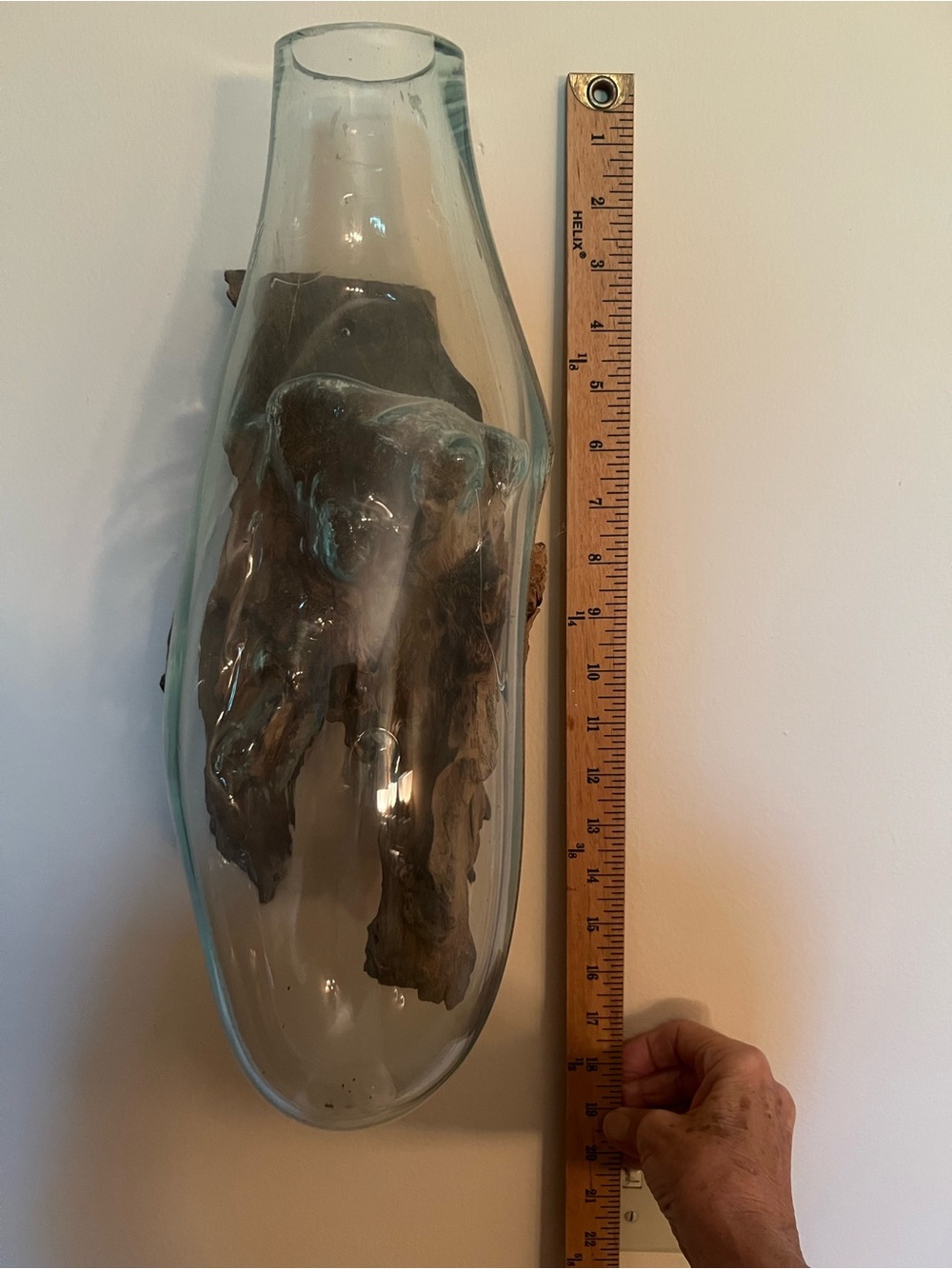 Hand-Blown Clear Glass Terrarium with Natural Driftwood Accent - Clear